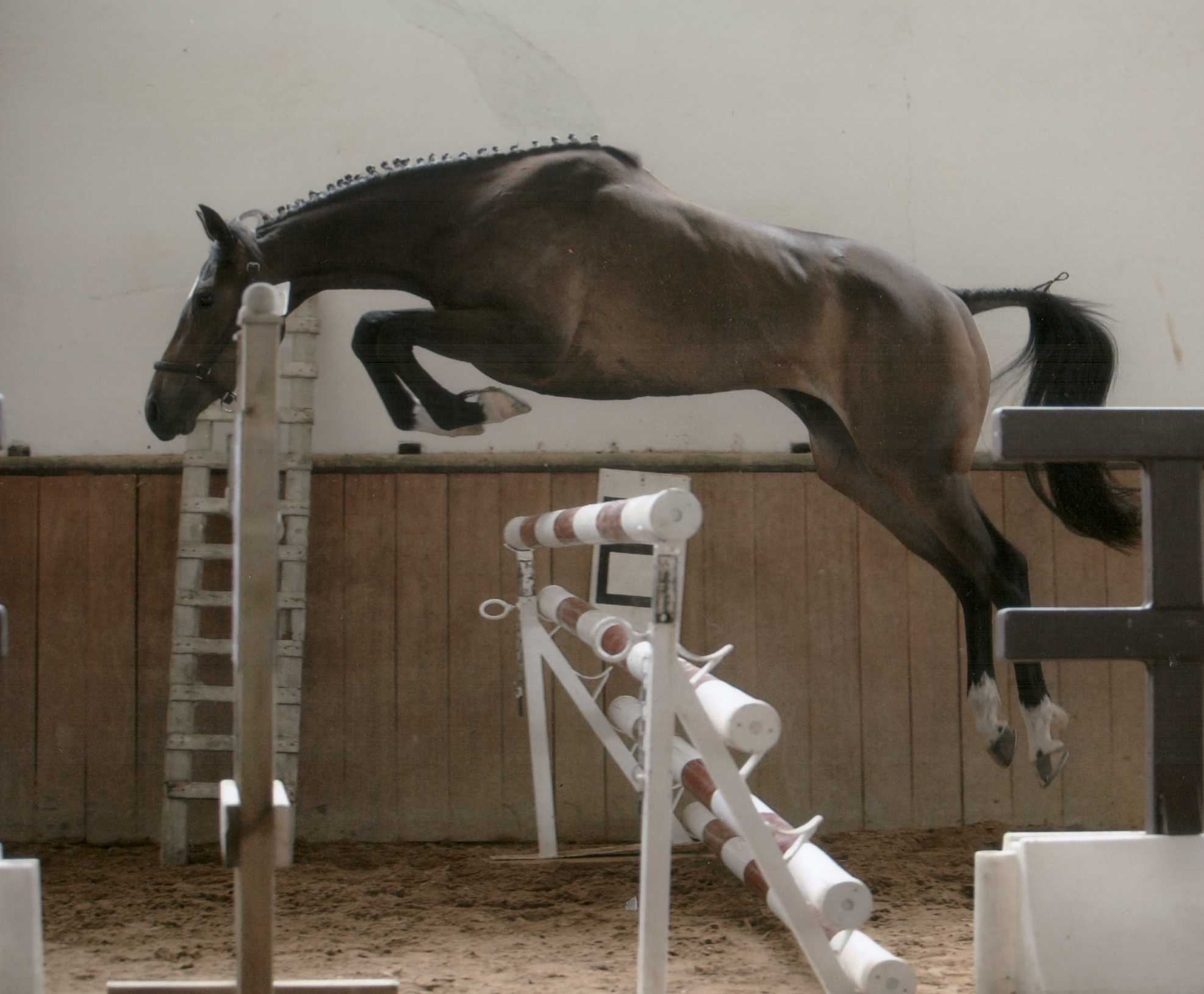 2007.06.26obstacle